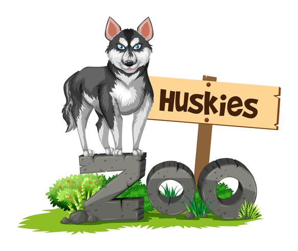 Huskies de pie en el signo del zoológico vector