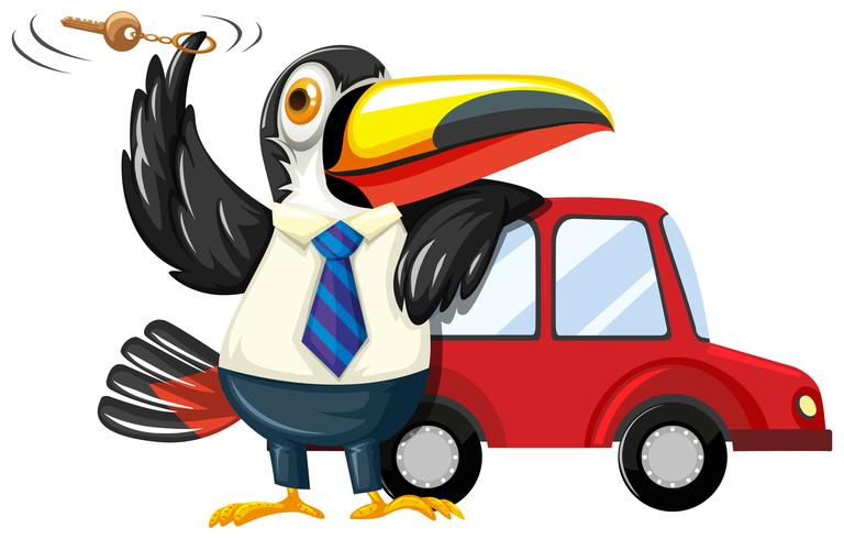 Toucan spinning carkey by the car vector