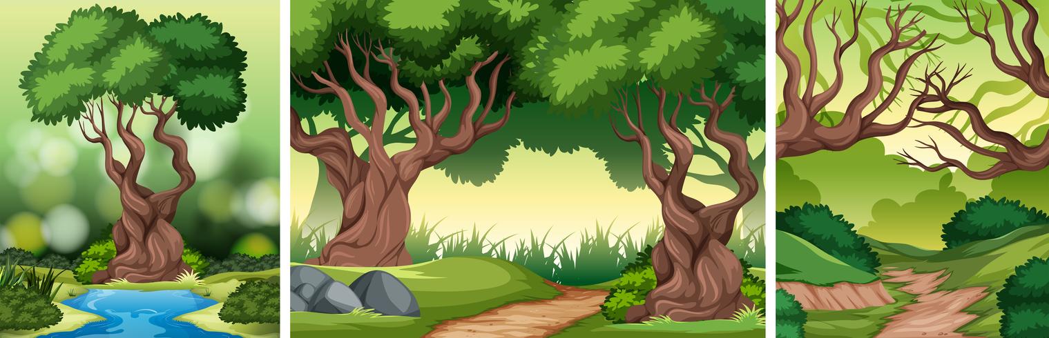 Set ov tropical rainforest background vector