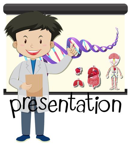 Boy presenting human anatomy on board vector