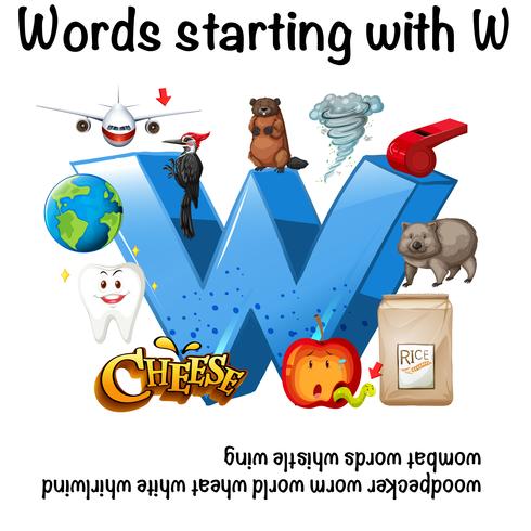 English words starting with W illustration vector