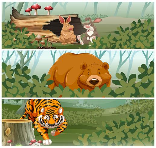 Wild animals in the jungle - Download Free Vector Art, Stock Graphics & Images
