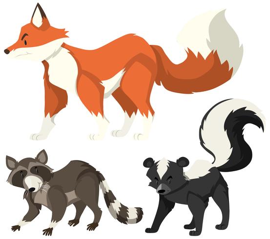 Different wild animals on white background vector