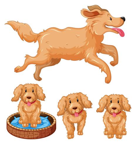 Dog and puppies with brown fur vector