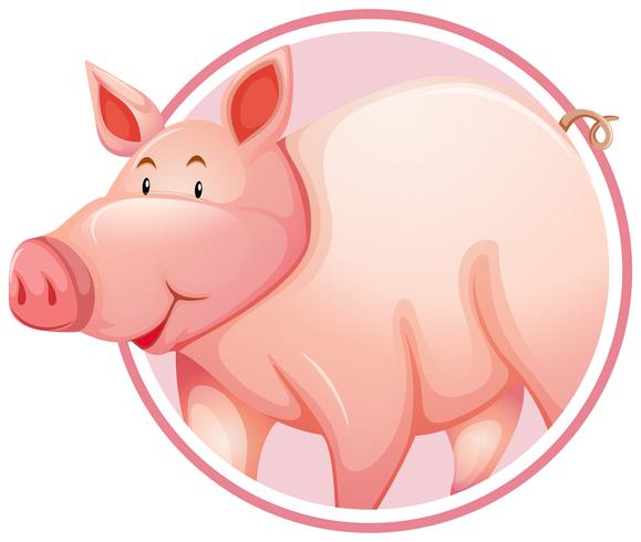 Pig in circle banner vector
