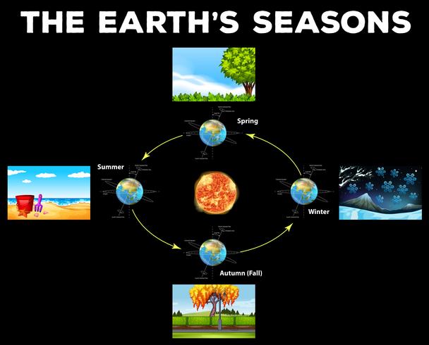 Diagrama que muestra las estaciones en la Tierra vector