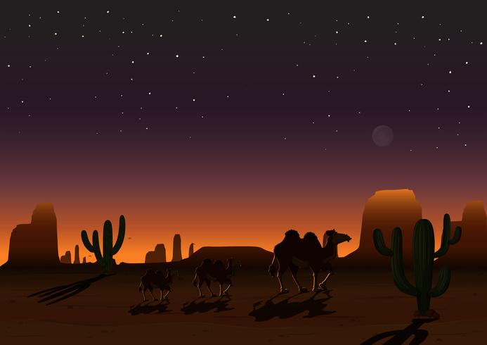 Un paisaje desértico de noche. vector