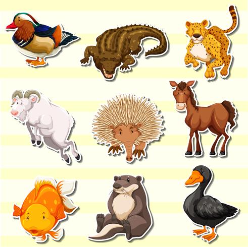 Wild animals in sticker set vector