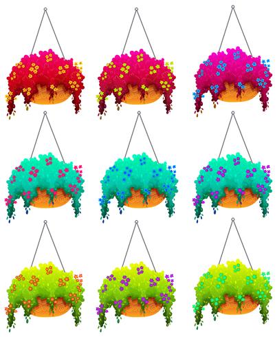 Hanging houseplants vector