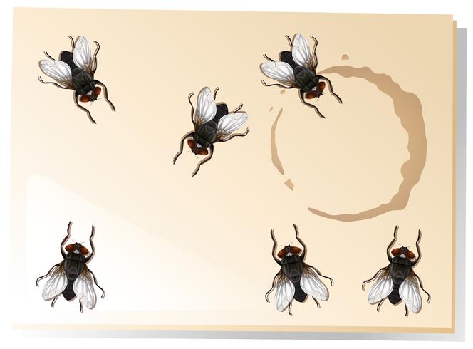 Many flies on the water stain vector