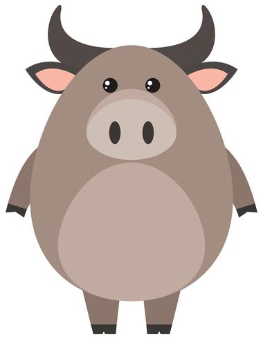 Buffalo with round body vector