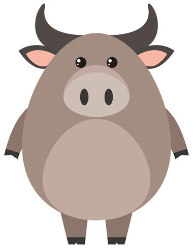 Búfalo con cuerpo redondo. vector