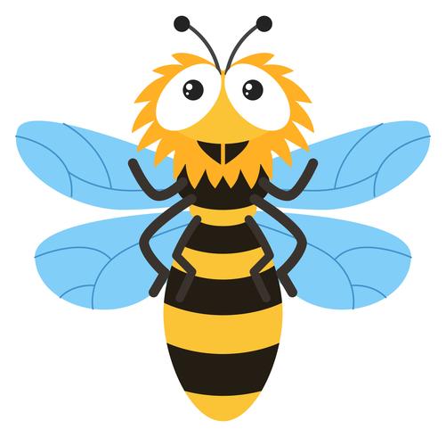 Cute bee flying on white background vector