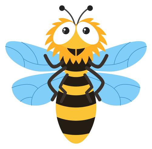 Cute bee flying on white background vector