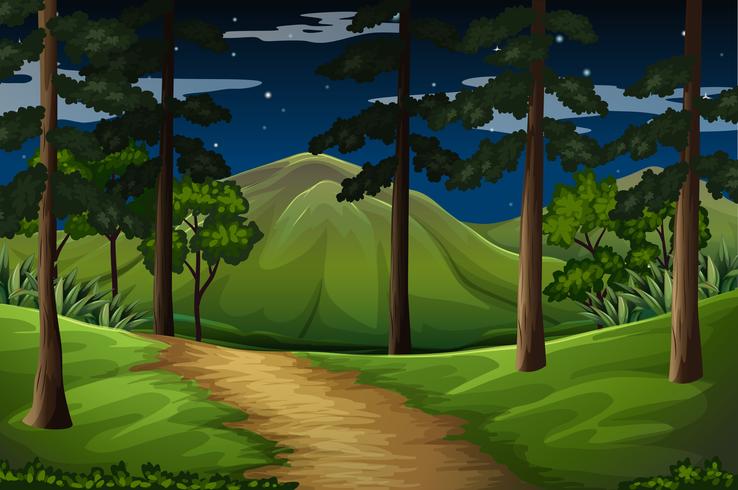 Forest scene with trail to the mountain vector