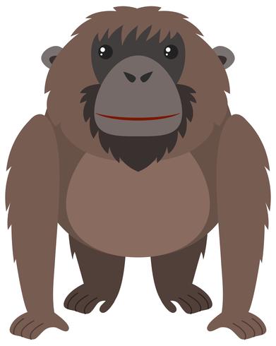 Brown orangutan with happy face - Download Free Vector Art, Stock Graphics & Images