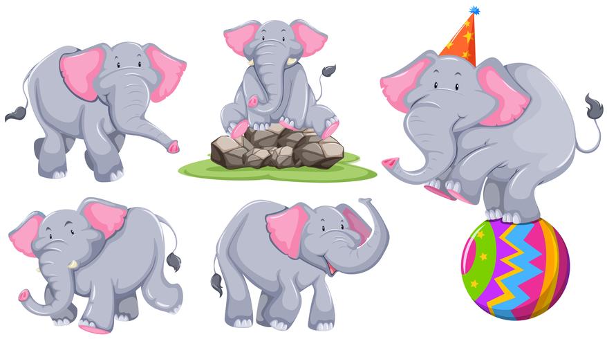 Elefante gris en diferentes acciones. vector