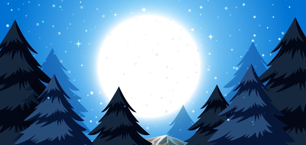 A winter night background vector