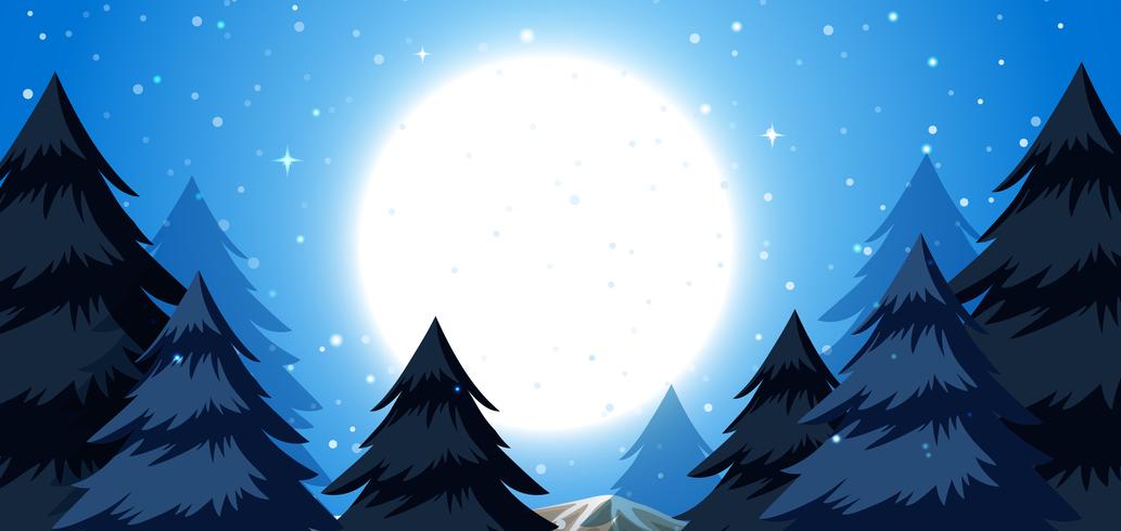 Un fondo de noche de invierno. vector