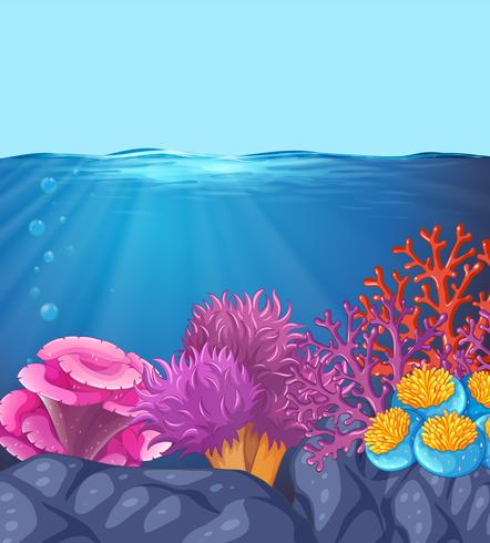 Underwater ocean coral scene vector