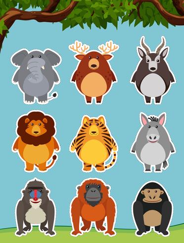 Wild animals on grass vector