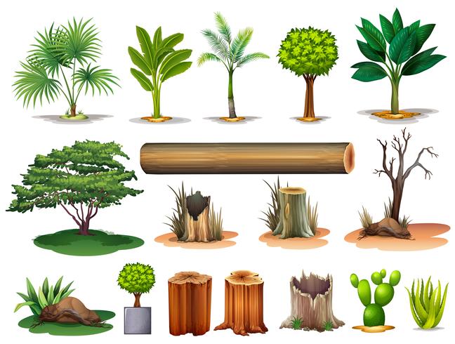 Trees and stumps vector