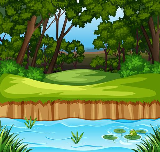 Scene of forest and a stream vector