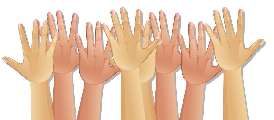 Human Hands on White Background vector