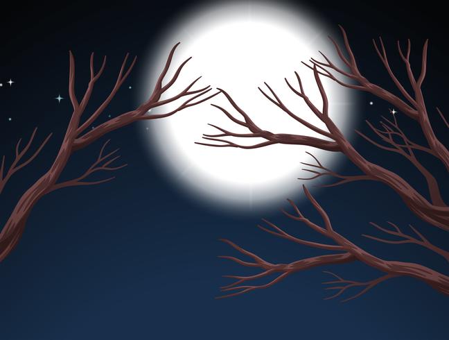 Full moon night scene vector