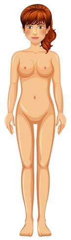 A Woman Body on White Background - Download Free Vector Art, Stock Graphics & Images
