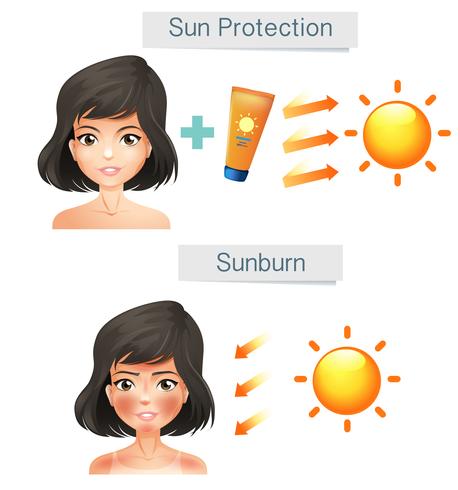 Vector Showing Women Skin After Sun