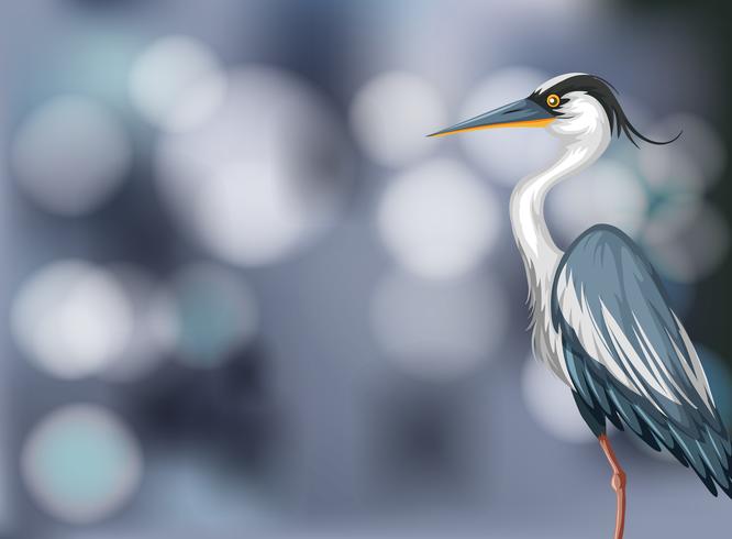 A heron on blurry background vector