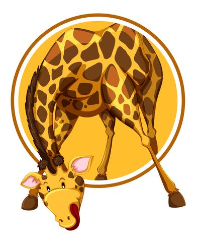 A giraffe on sticker template vector