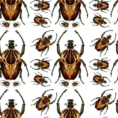 Escarabajo bug patrón sin costuras vector