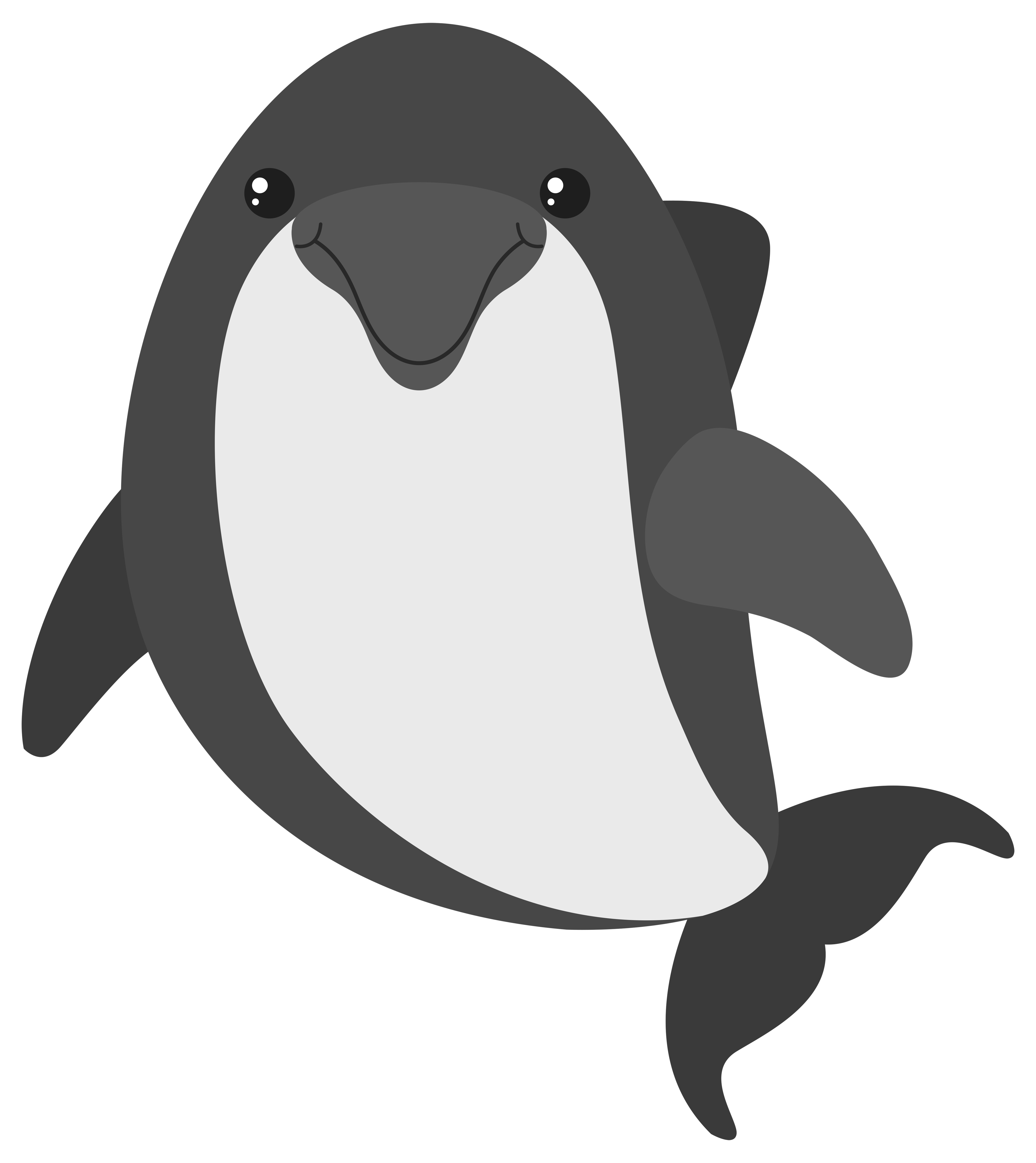 可愛動物圖 免費下載 | 天天瘋後製
