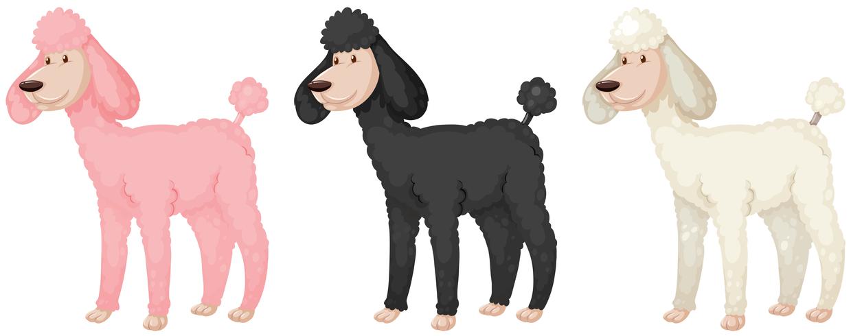 Puddle dogs with different color fur vector