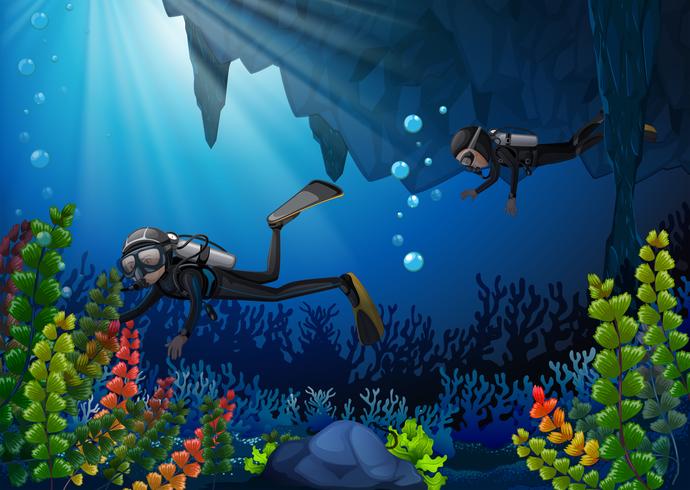 Two scuba divers underwater vector