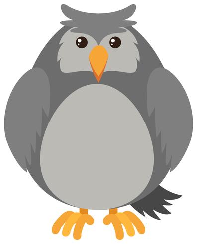 Gray owl on white background vector