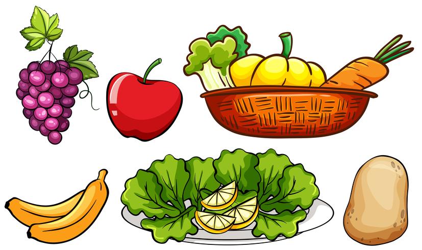 Conjunto de verduras y frutas. vector