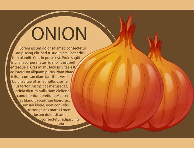 Infographic design with fresh onions vector