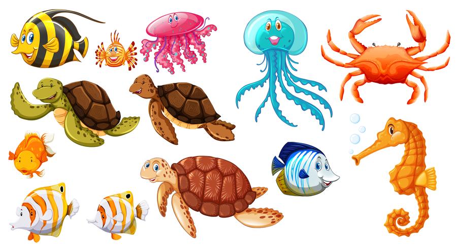 Different kinds of sea animals vector