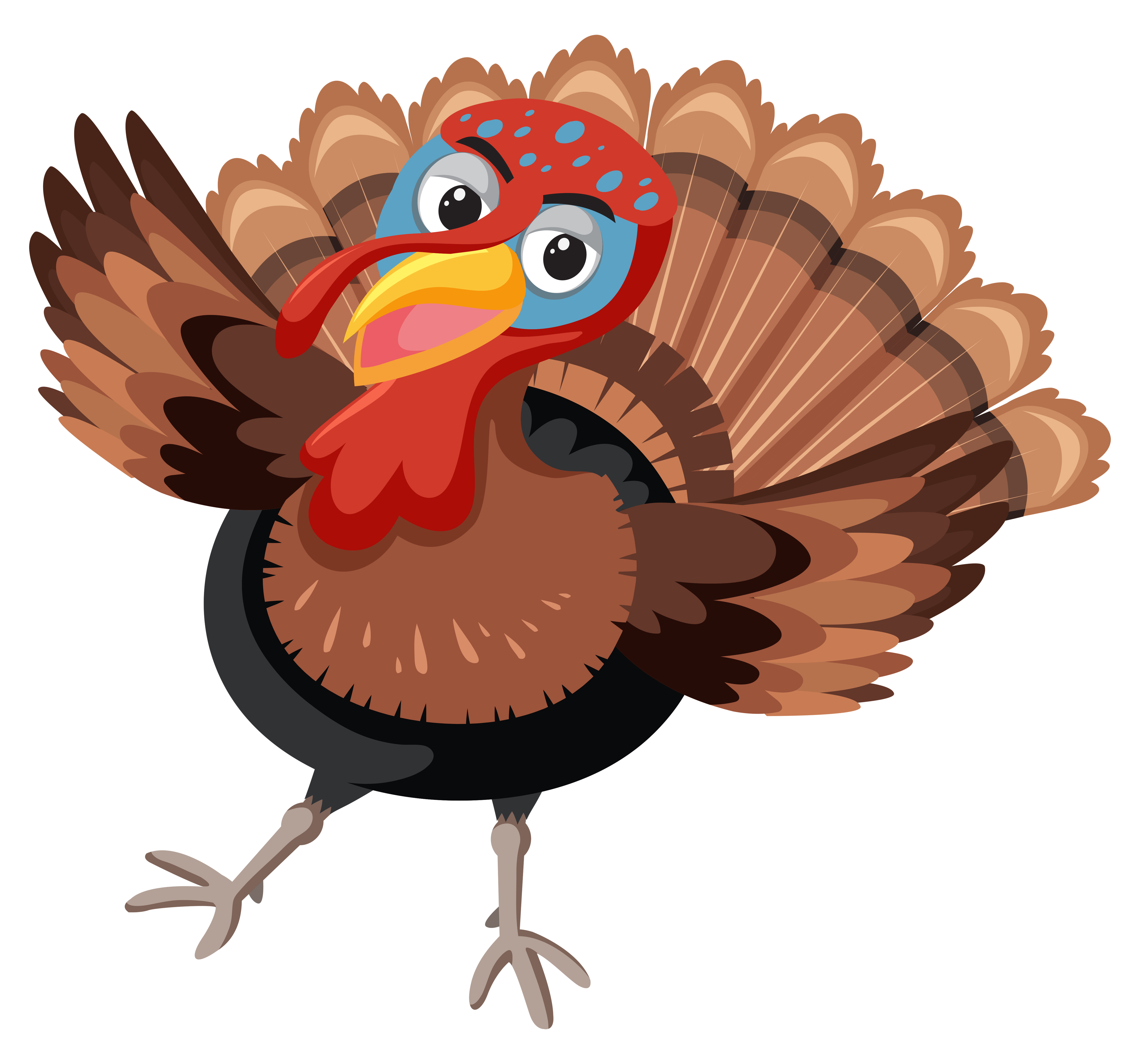 Download Turkey on white background - Download Free Vectors, Clipart Graphics & Vector Art