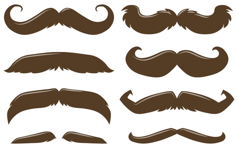 Diferentes estilos de bigote en color marrón. vector