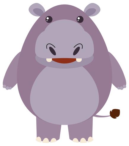 Cute hippo on white background vector