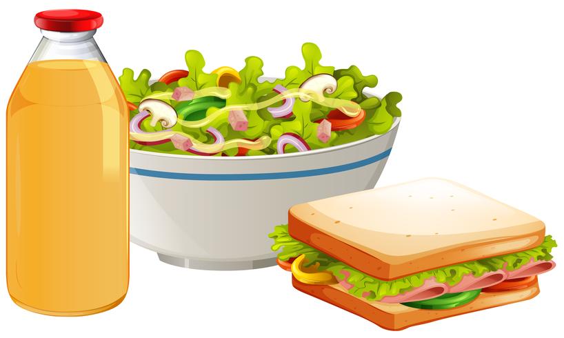 A Healthy Sandwich and Salad vector