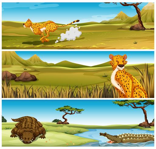 Wild Animals Free Vector Graphics | Everypixel