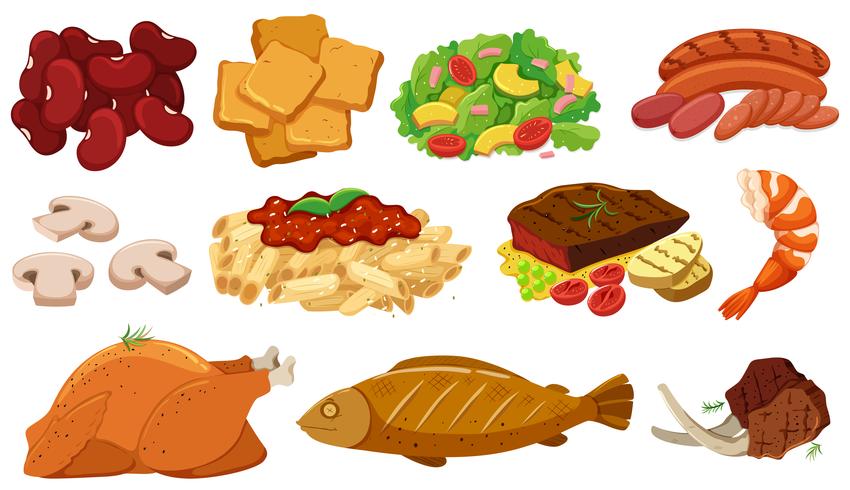 Different types of food and ingredients vector