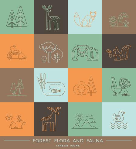 Vector linear icons of forest flora and fauna.