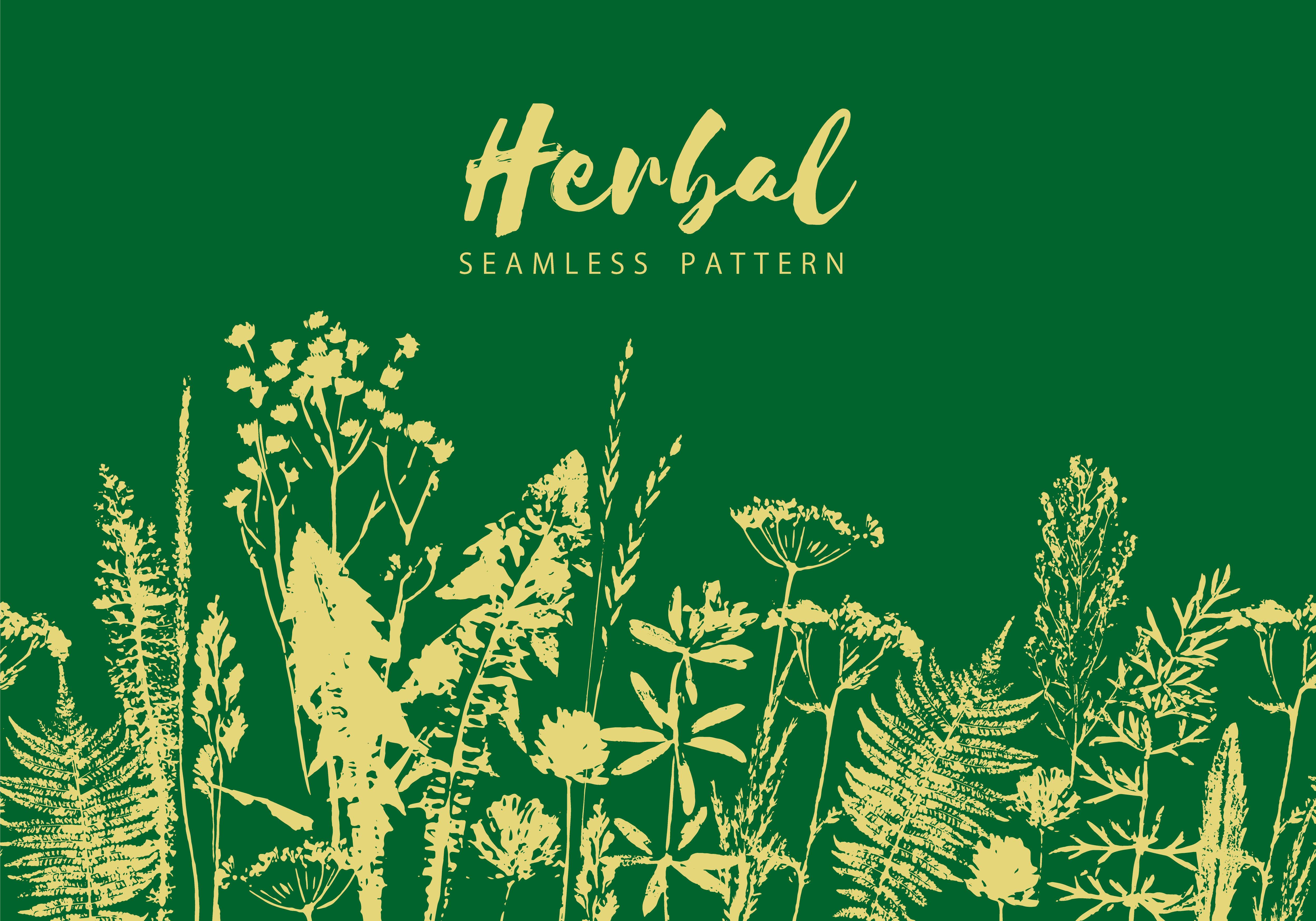 Herbal seamless pattern. Botanical border. Vector grass background