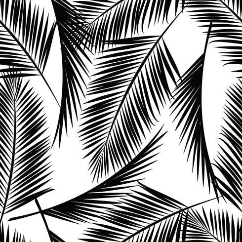 Seamless exotic pattern with palm leaves. vector